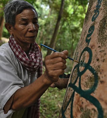 Ancestral Futures and Kuipedia